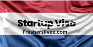 Online Start-up in The Netherlands! Apply Now for 2024