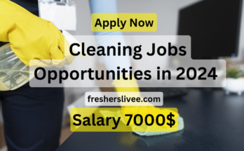 Cleaning Jobs in Luxembourg: Pay, Qualifications, and Opportunities in 2024